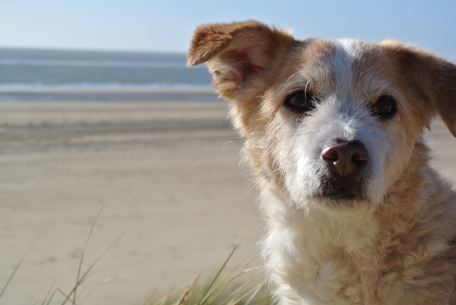 Hij is ermee gestopt…