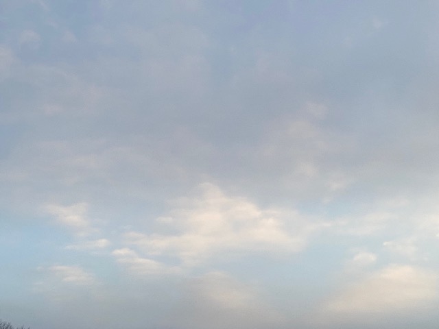 Ze hebben me meegenomen