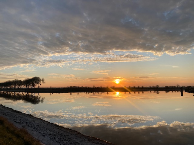 Wat heb ik gedaan…