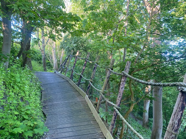 Mag ik in mezelf investeren?