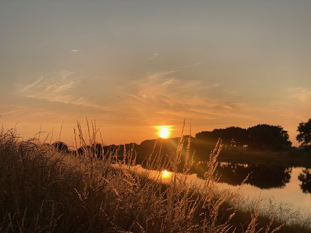 De belangrijkste dag van het jaar