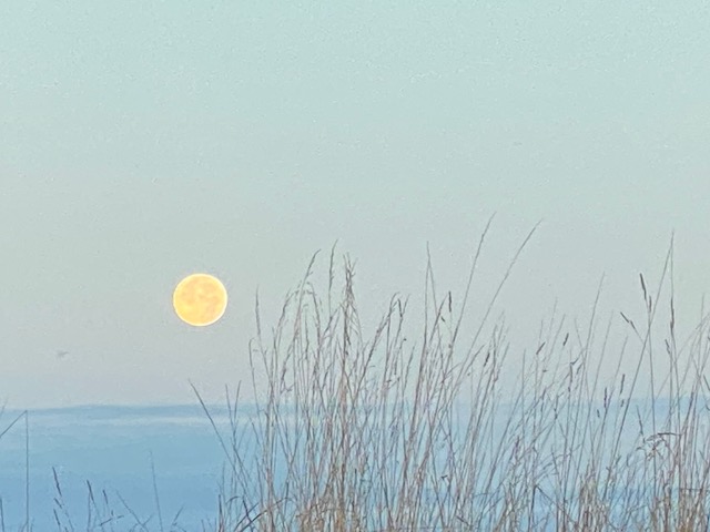 Maakt toch niets uit