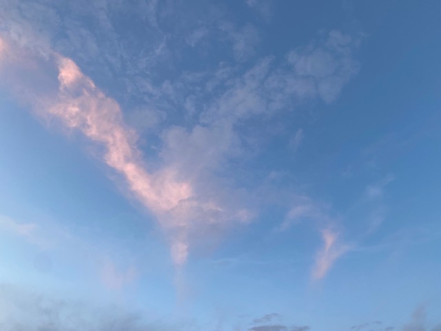 Stop maar met zoeken