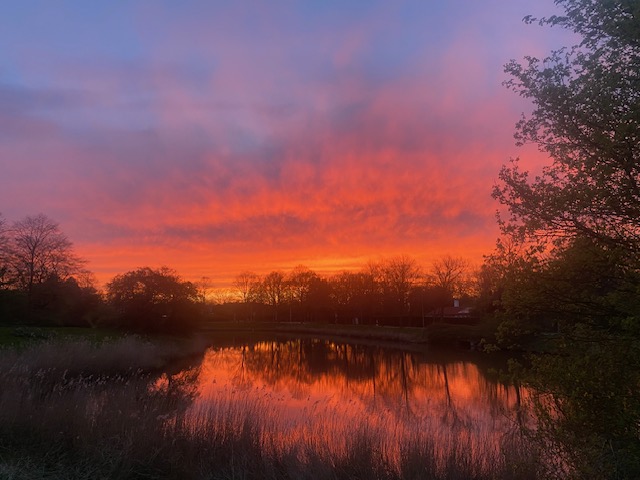 De emoties gieren door je lijf