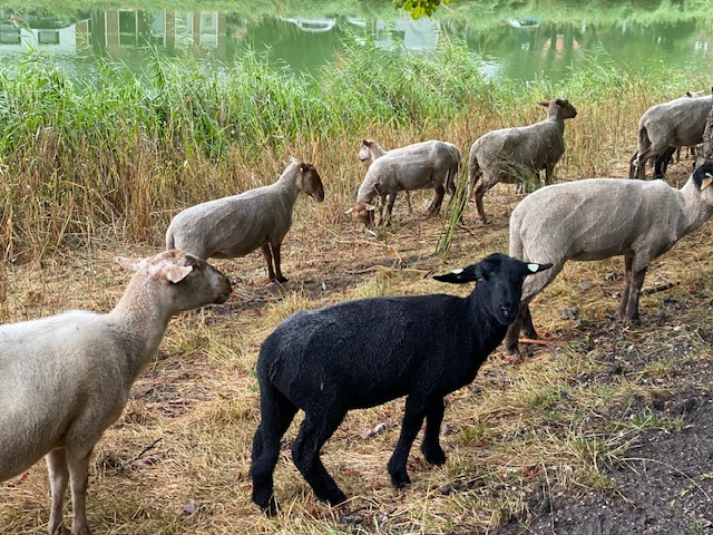 Je bent duidelijk niet de enige