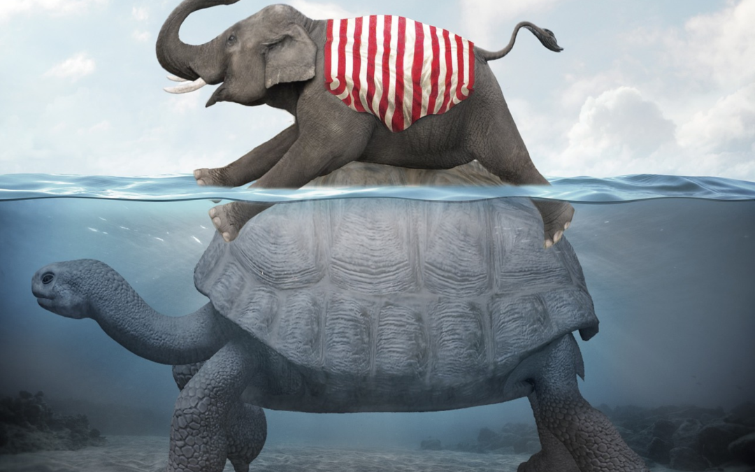 Overleven of gelukkig zijn?