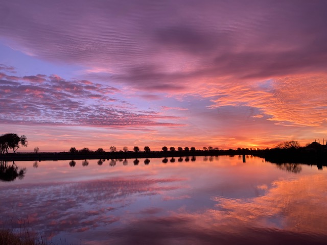 Je moet toch het lef maar hebben!